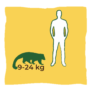 Dimensione-Size