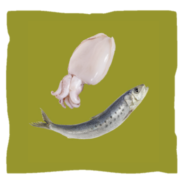 Alimentazione-Diet