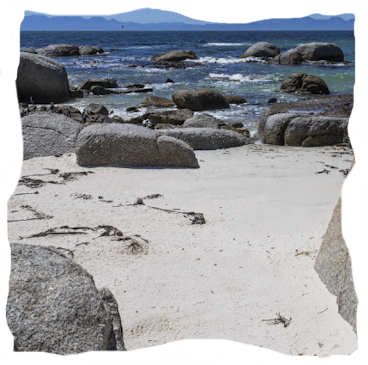 Ambiente-Habitat
